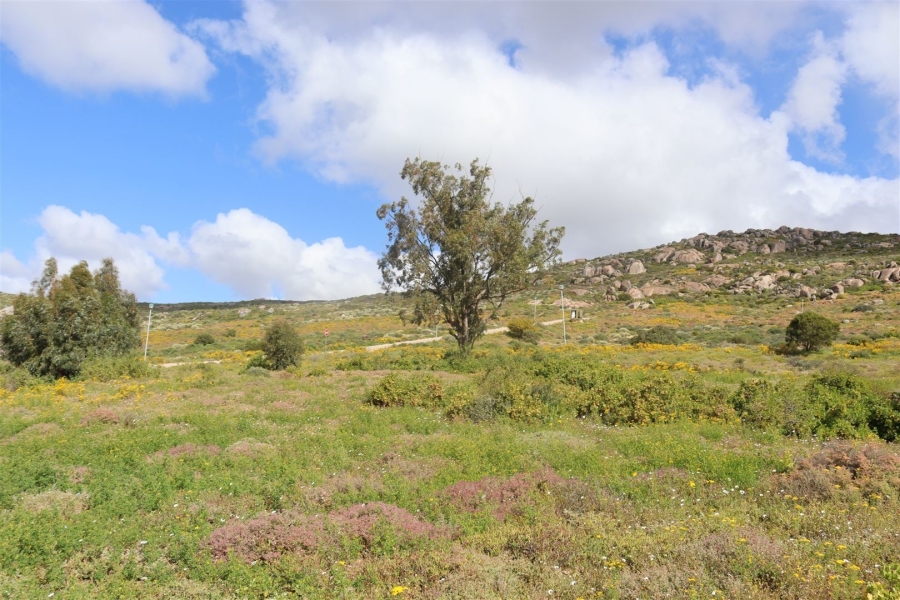 0 Bedroom Property for Sale in St Helena Views Western Cape